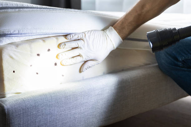 Best Pest Inspection Near Me  in Robesonia, PA