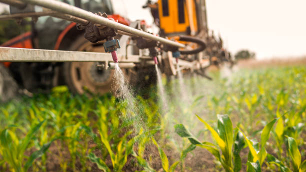 Best Commercial Pest Control Services  in Robesonia, PA